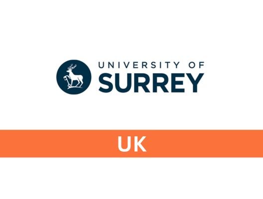 Surrey uni for uk